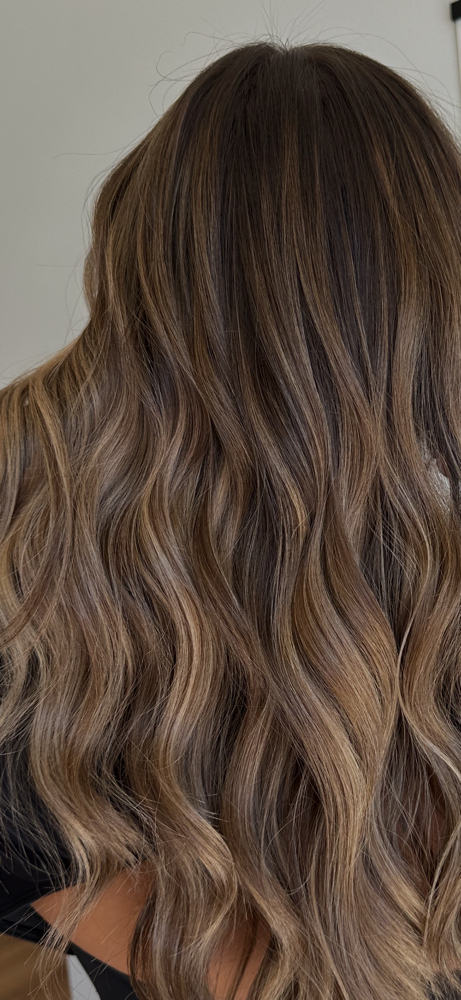 Partial Balayage at Taylor Hellenbrand in Prairie Du Sac, WI