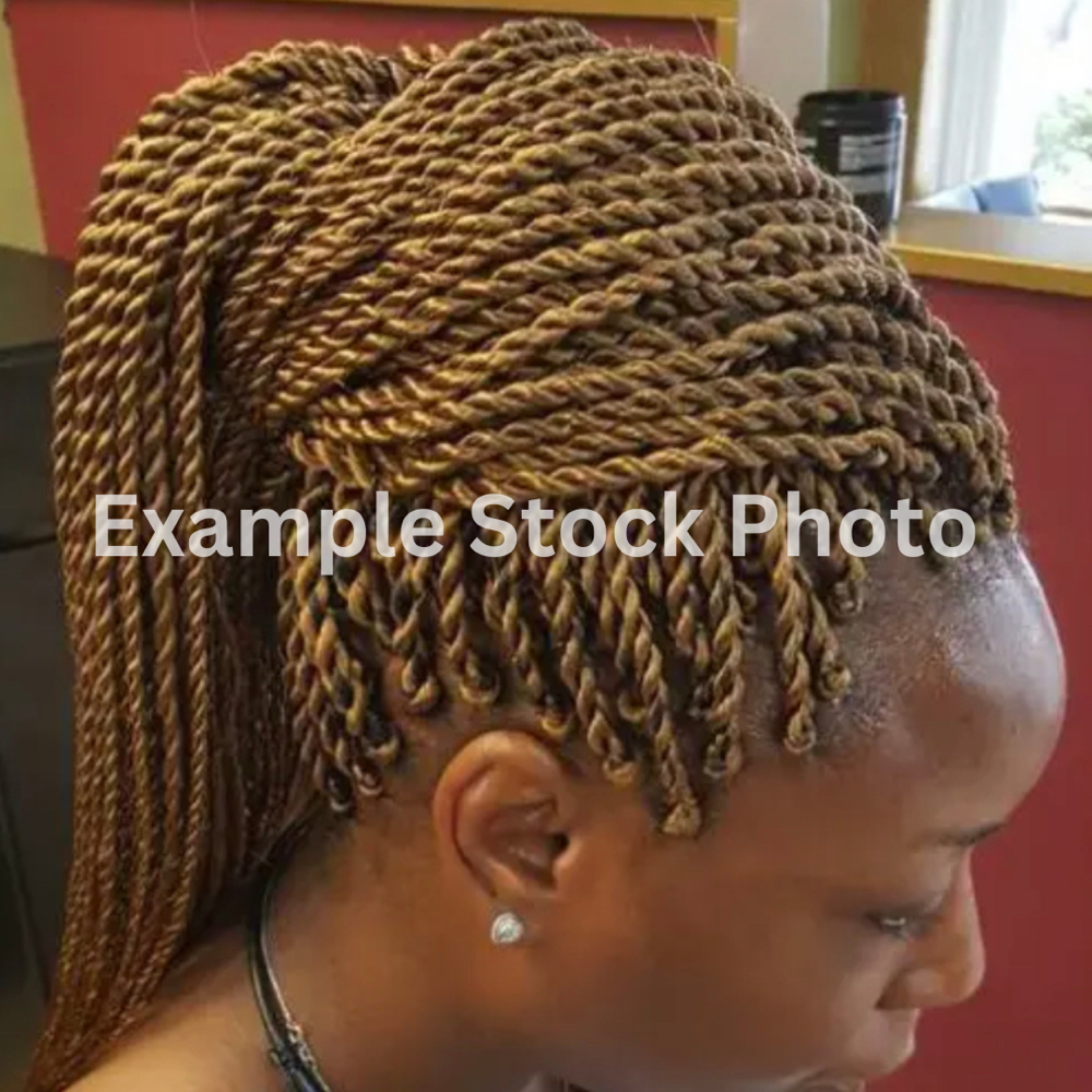 Twist Braids (Small)