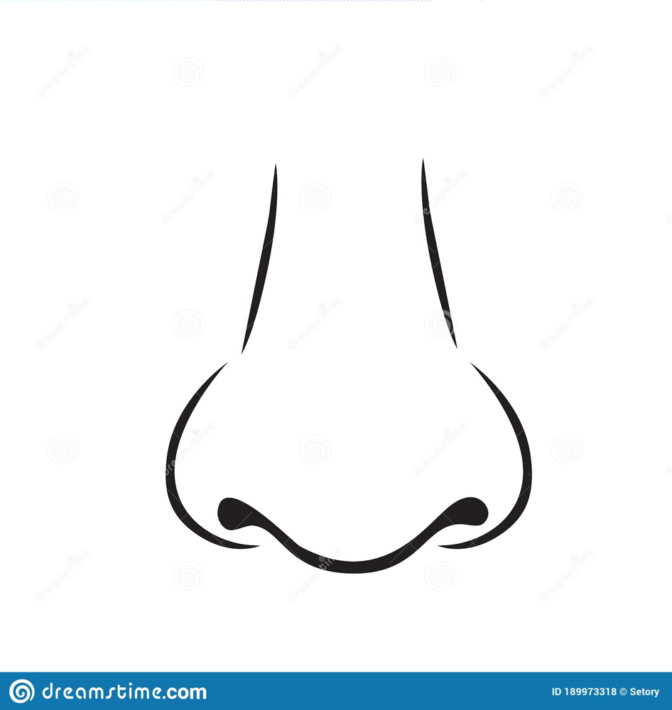 Nose