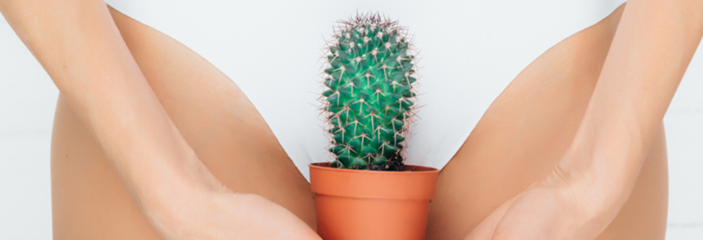 Extended Bikini Wax at Ciao Bellä Esthetics WNC in Asheville, NC