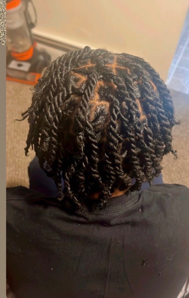 plaits or two strands (loose hair)