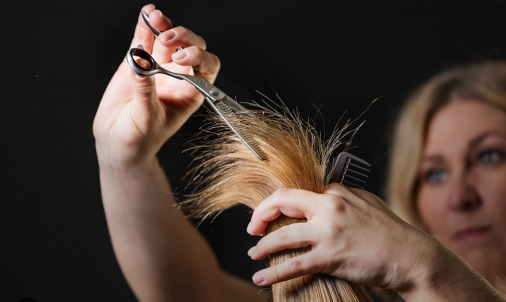 Women’s Dry Haircut