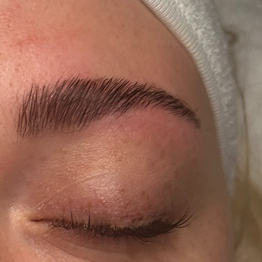 Brow lamination And Tint at Fields Beauty and Wellness in Bradenton, FL