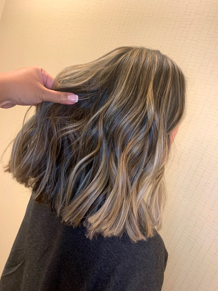 Partial Haircut & Blowout
