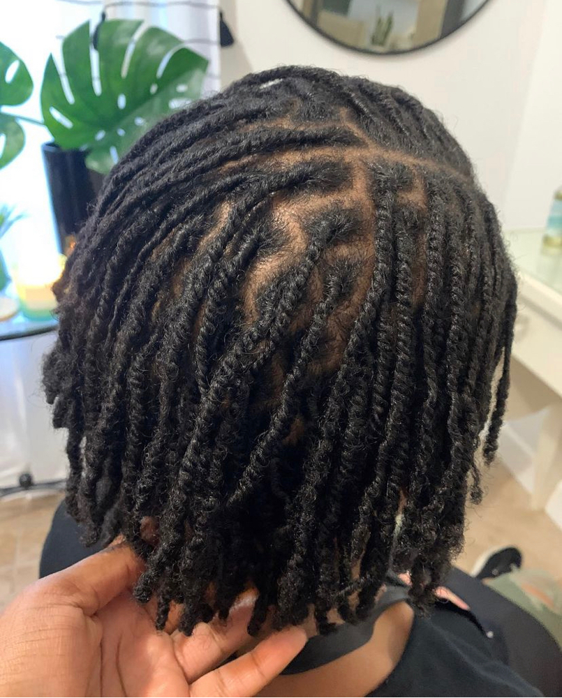 Starter Locs (two Strand Or Coils)