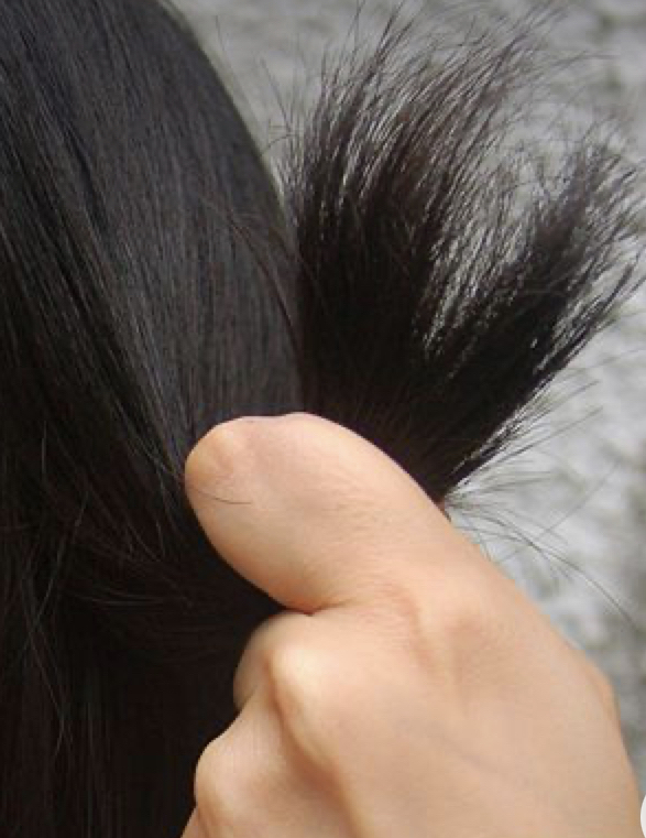 Trim