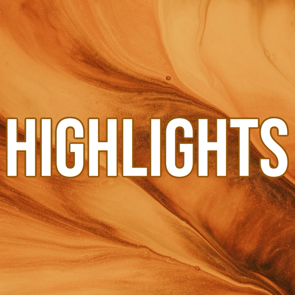 HIGHLIGHTS *Includes Haircut* at Ms. Laris Beauty Hair Salon in Elk Grove, CA