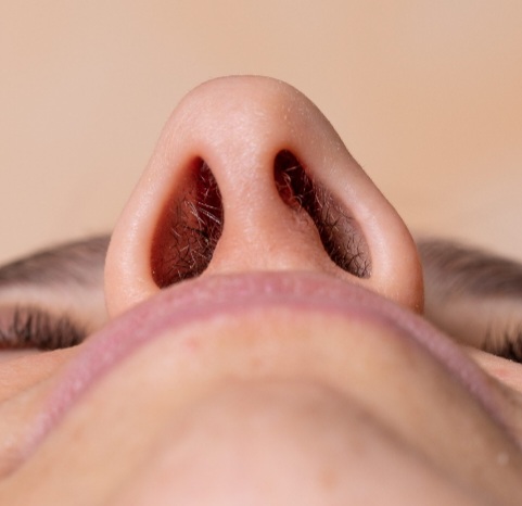 Nose