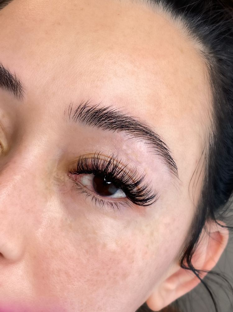 LASH | Volume Full Set