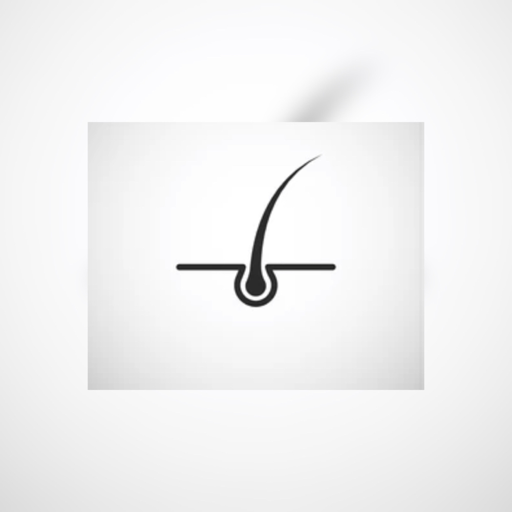 The Alexis Collective Scalp Therapy at The Alexis Collective in Mableton, GA