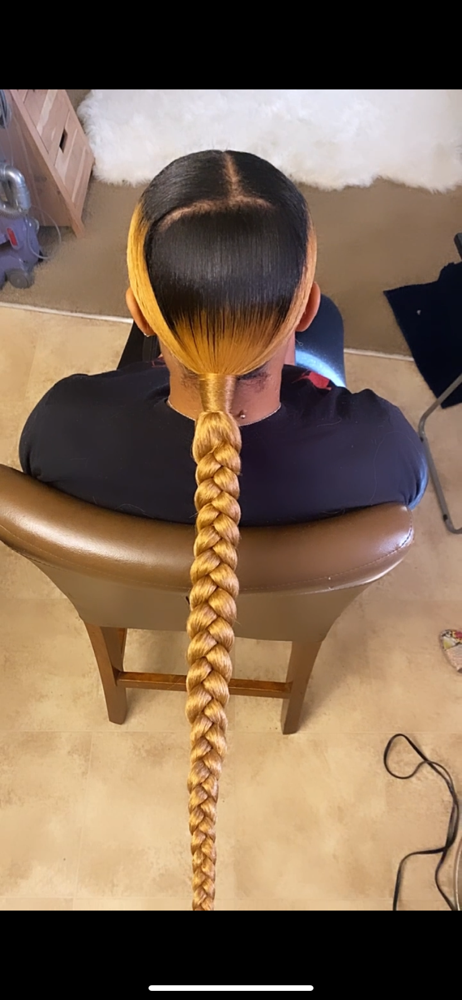 Regular Braided Ponytail