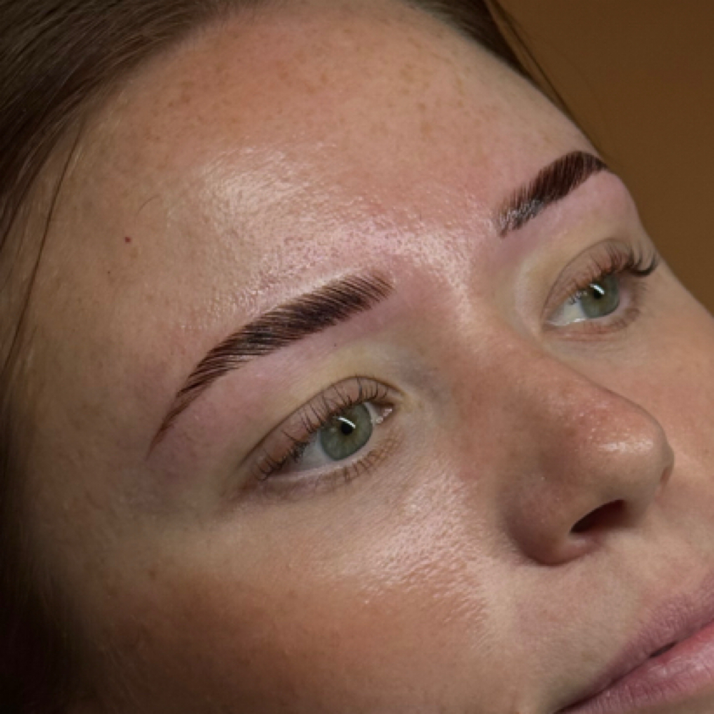 Brow lami, shape, & tint at Blink Bar Reno in Reno, NV