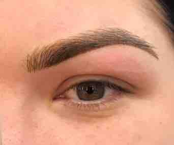 Perfection Appt.(Combination Brows)