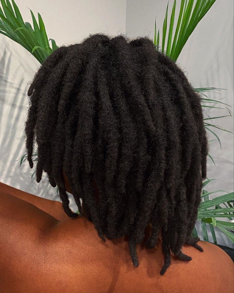 Starter Locs & Maintenance