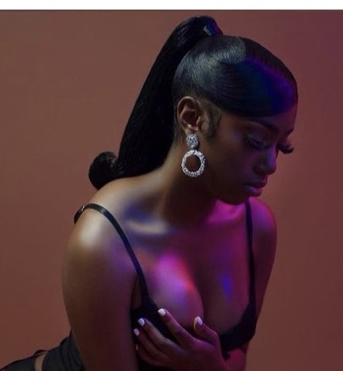 Sleek Ponytail