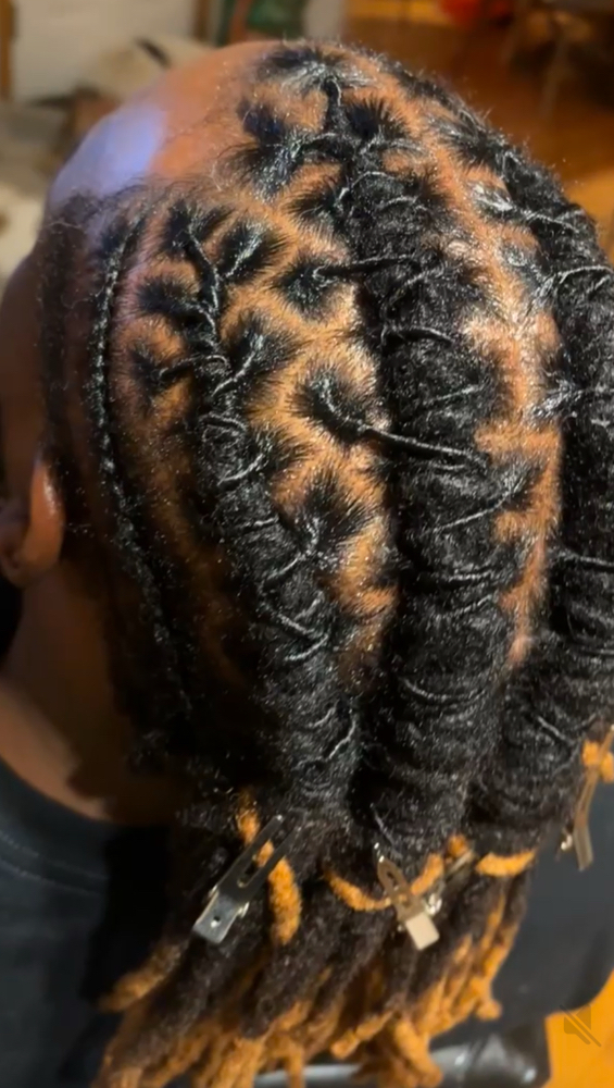 Adult Loc Re-twist With Style at Loc’d -N in Fountain, CO