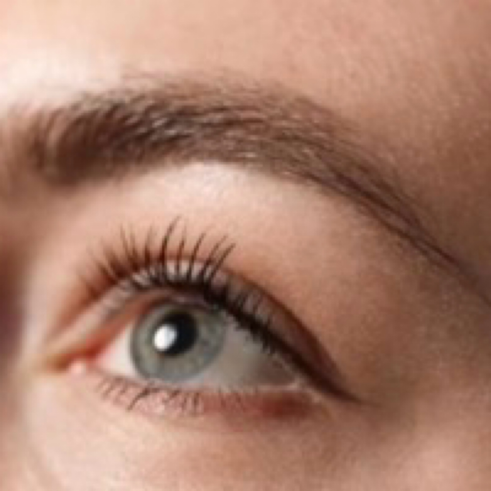 Eyebrow Tint at Hair By Wanda in Cocoa, FL
