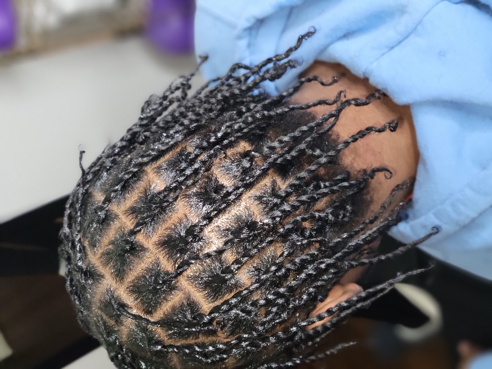 Natural hair Braid or Twist