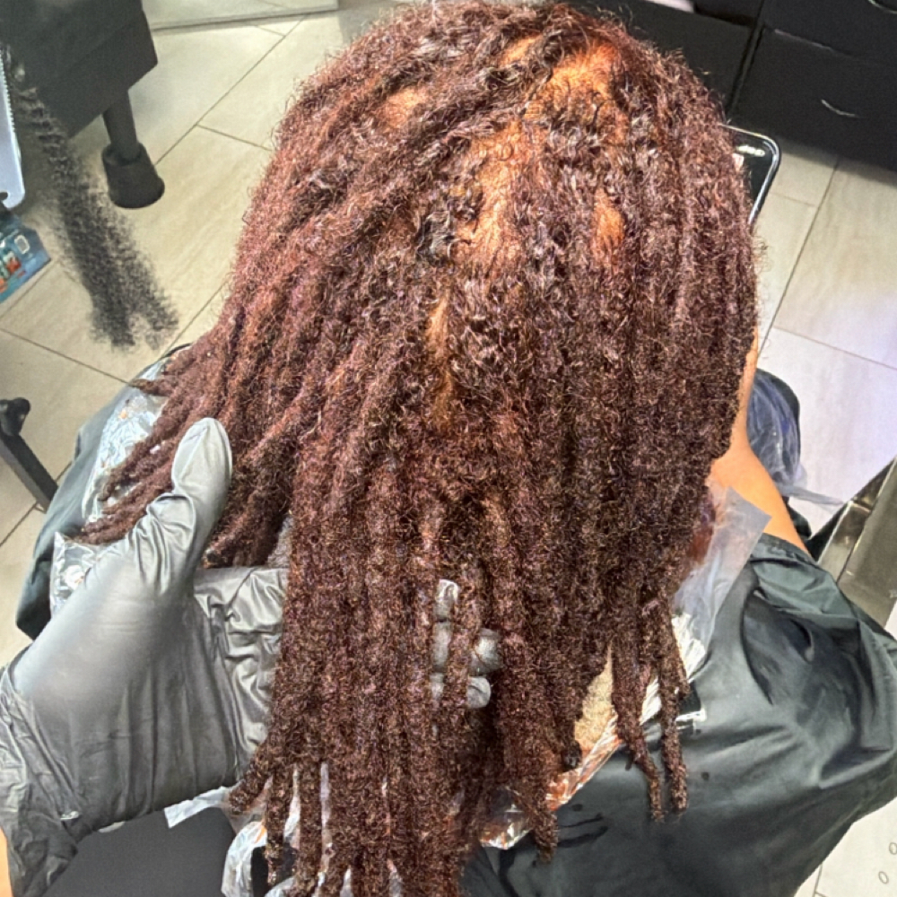 Semi Permanent Color/ Refresh at NICEE LOCS in Arlington, TX