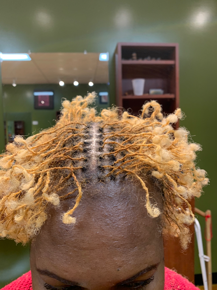 Sisterlocks Edges Touch-up