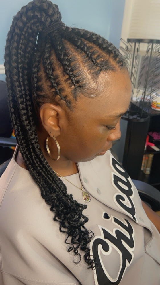 Braided Ponytail