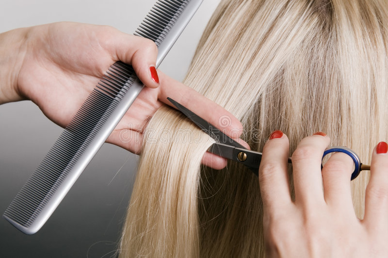 Express Cut