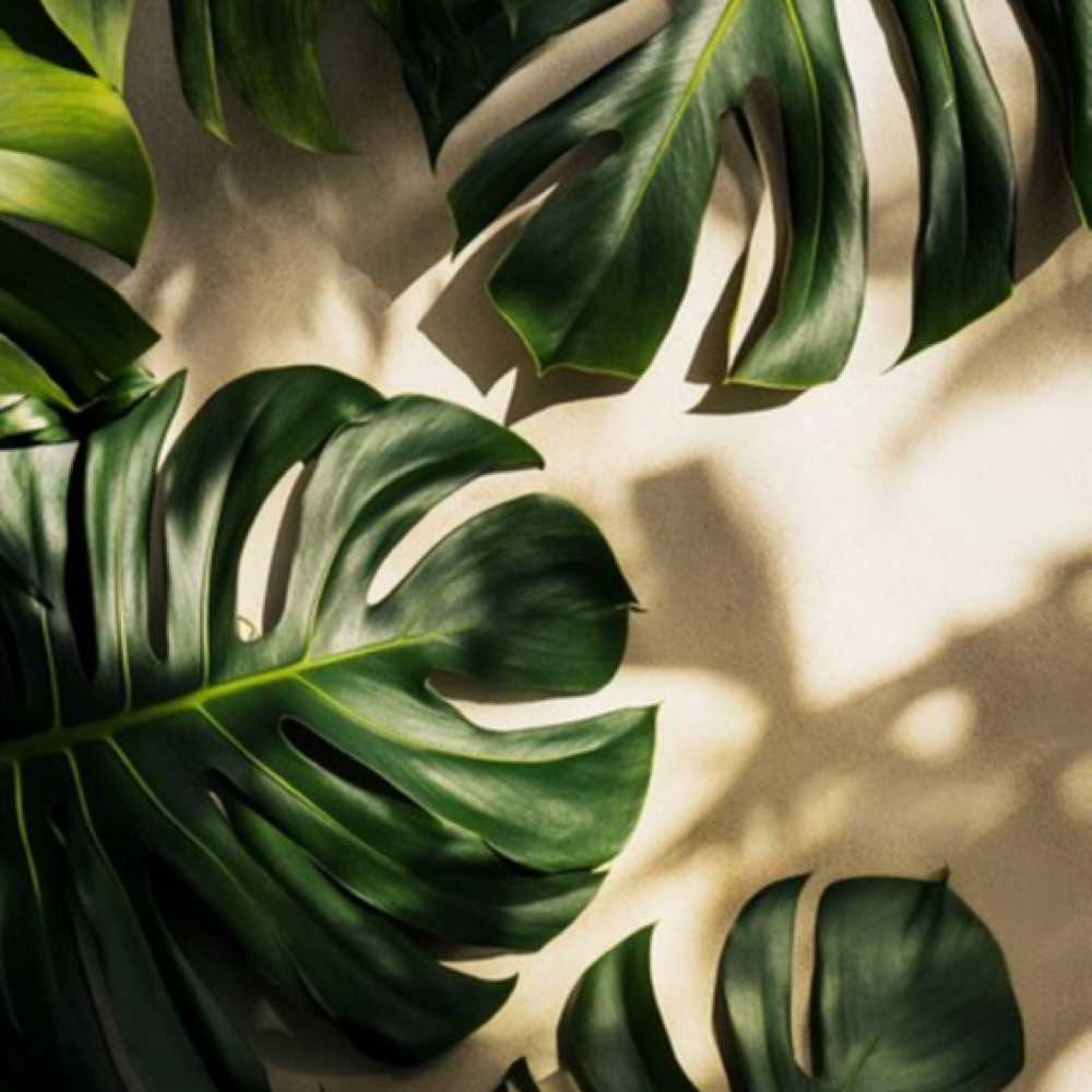 The Consultation| Get Rooted at Deeply Rooted Hair in Ashburn, VA