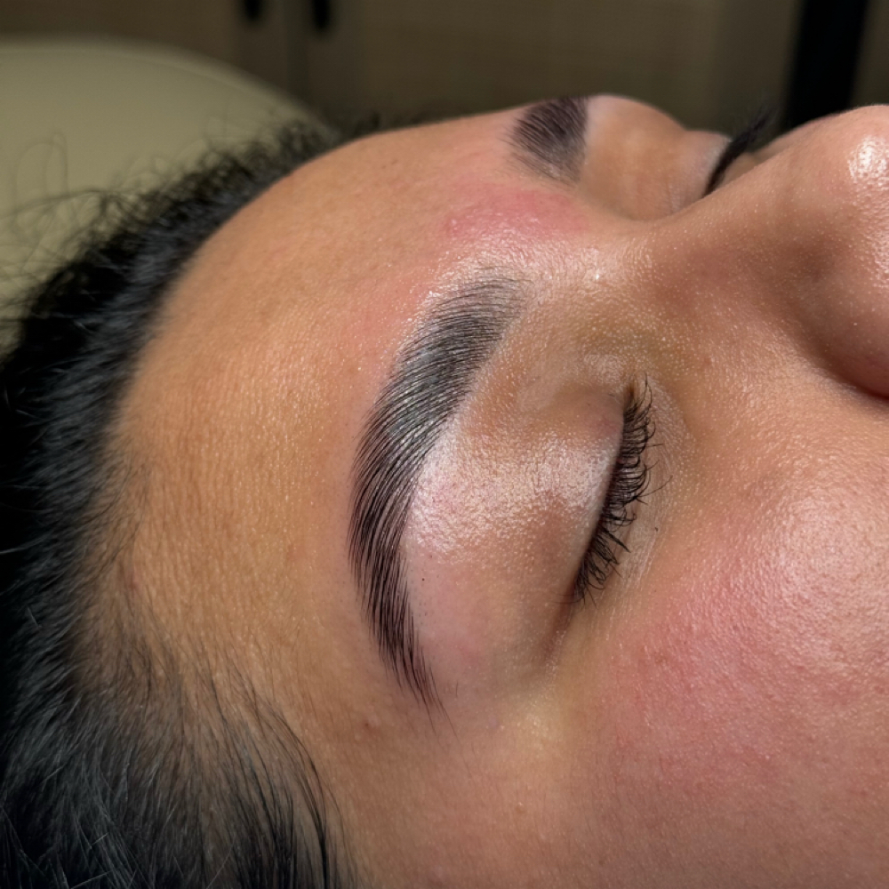 BROW LAMINATION & TINT at TeezSkin in East Setauket, NY