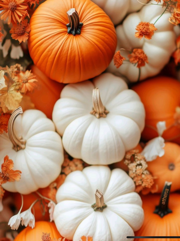 October Specials
