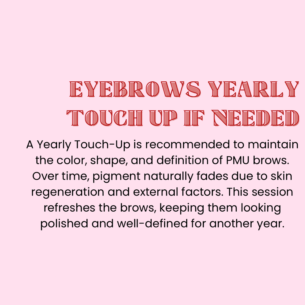 EYEBROWS YEARLY TOUCH UP