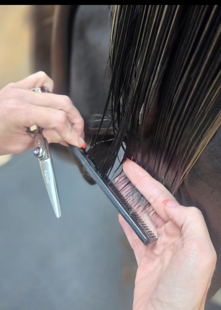 Womens Cut+ Shampoo + Style