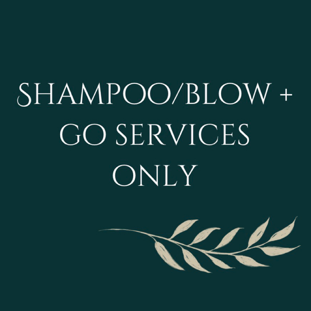 Shampoo / Blow Dry + Treatment at Salon Mix in Farmington, MI