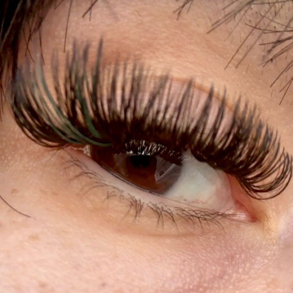 Volume Full Set at XO Lashes in Glendale, CO