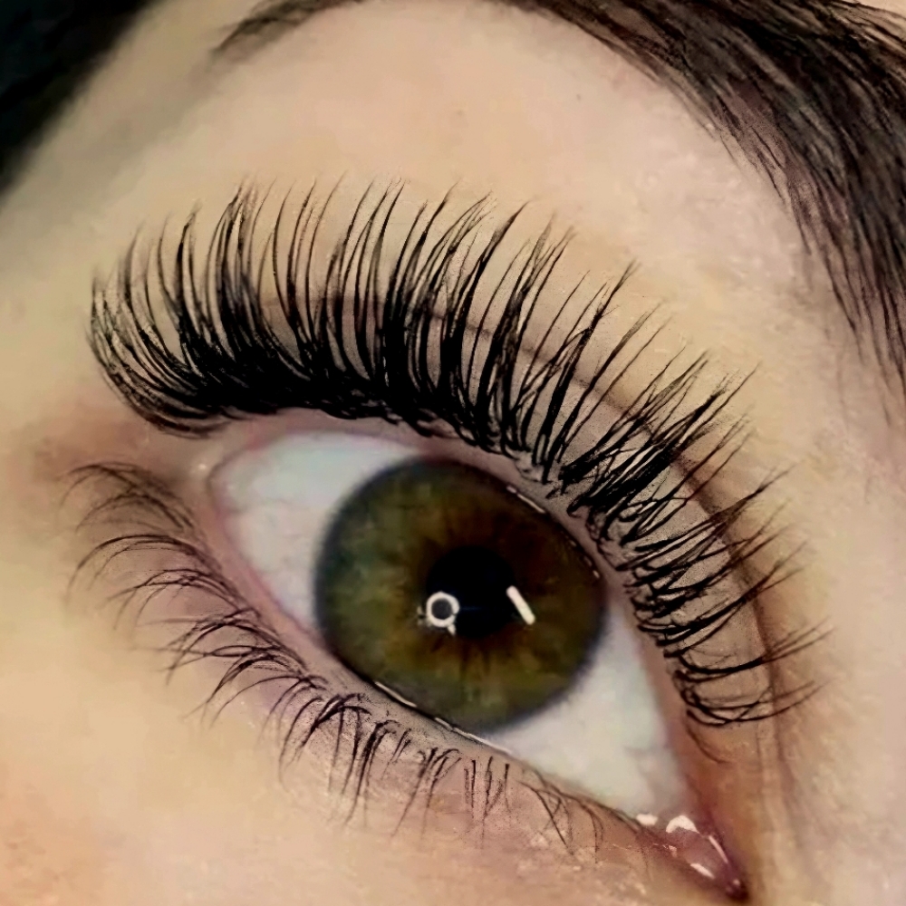 Classic Lash at Coiffeur Salon & Boutique in Loveland, CO