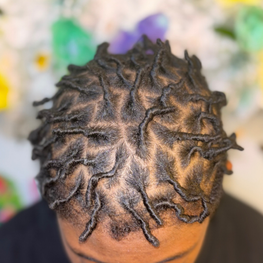 Starter Locs (Medium To Large)