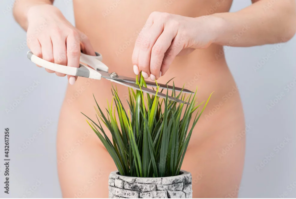 Maintenance Brazilian