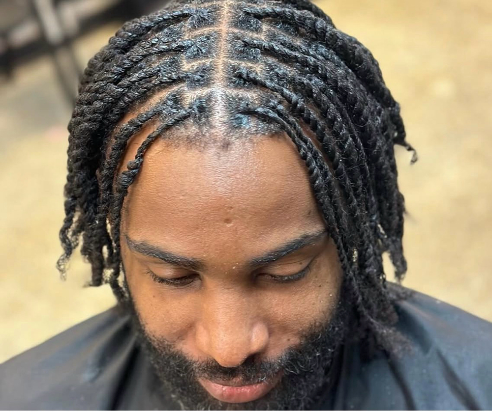 Two Strand Twist/plats(neck Length)