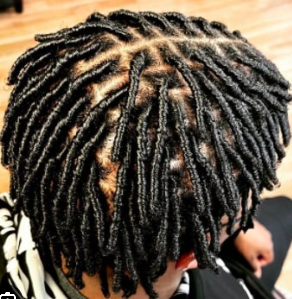 Starter Locs