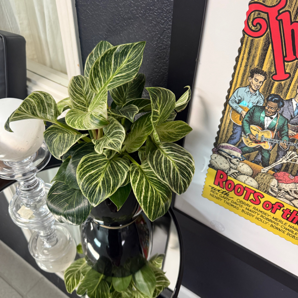 Butt (Full) at the.skin.project in Fresno, CA