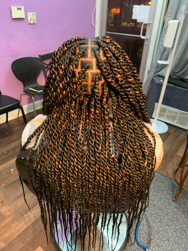 Small Passion Twists