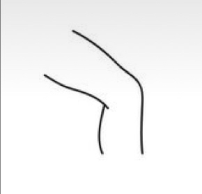 Half Legs