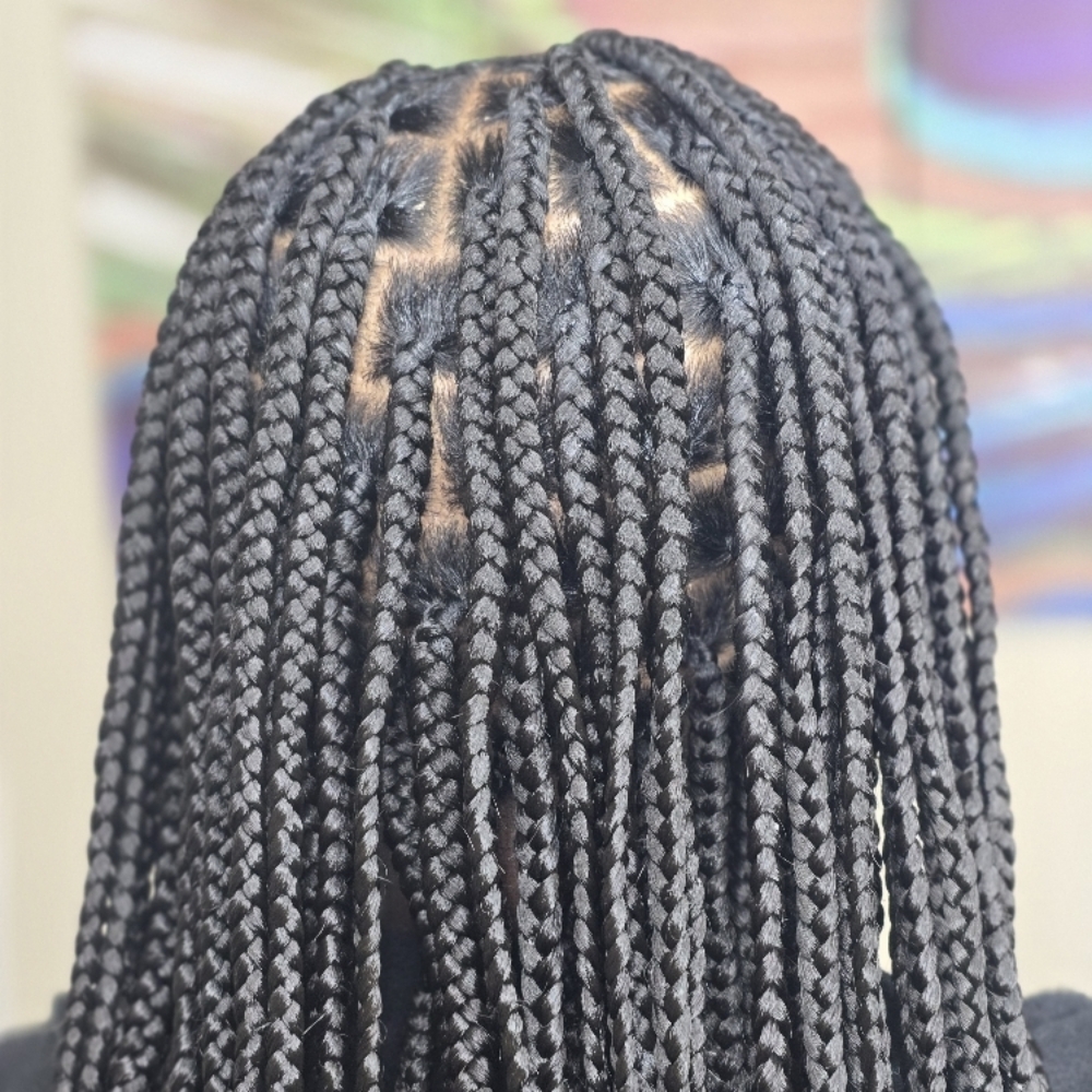 Medium Or Large Braids at JenniferTwist in Blythewood, SC