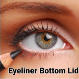 Eyeliner Bottom Lid $150 at Wow Brows Studio in Bakersfield, CA