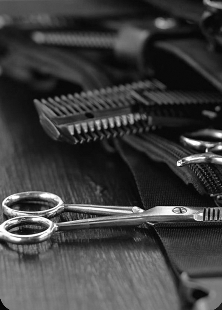Haircut w/ Color Service