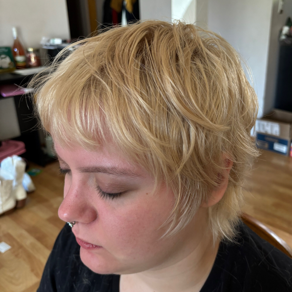 Above the ear/Pixie at Hair By Ayla in Beaverton, OR