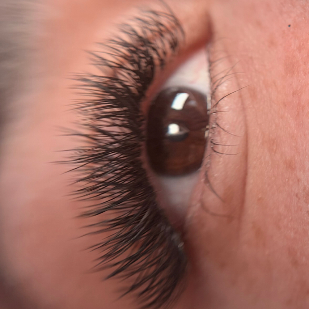 YY Fans at Maris Lash Studio in Rockport, TX