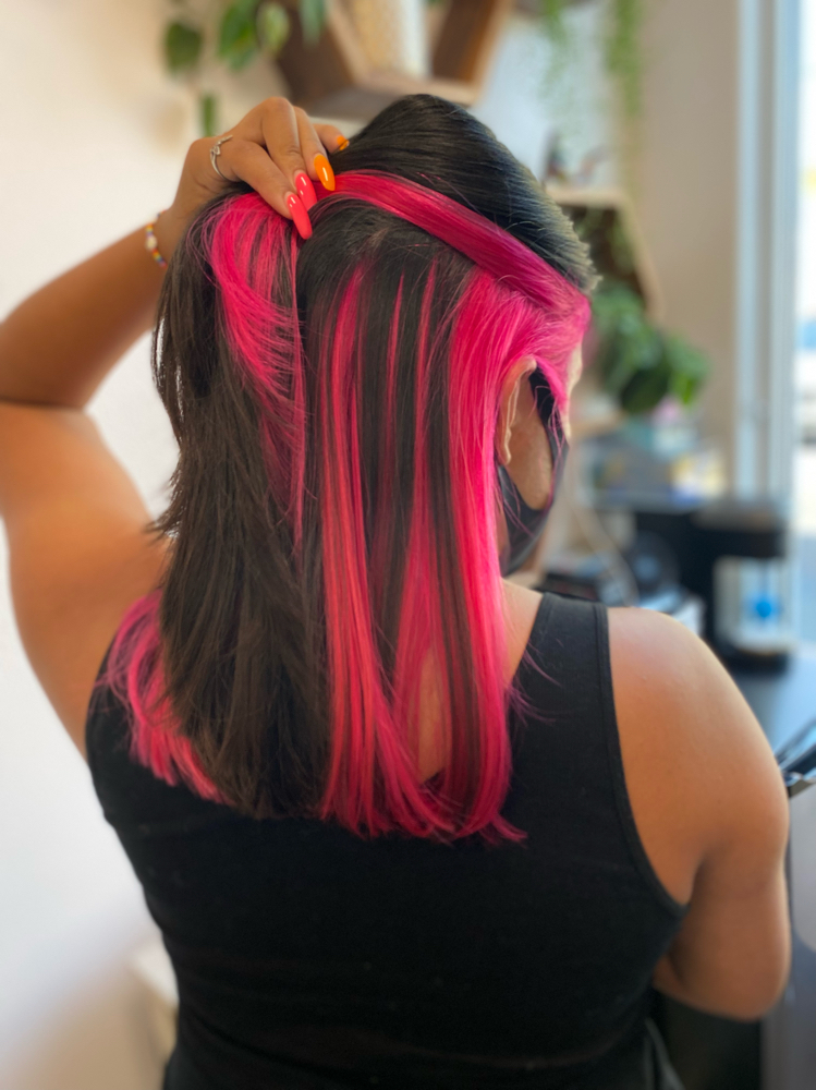 Fantacy Hair Color Panel