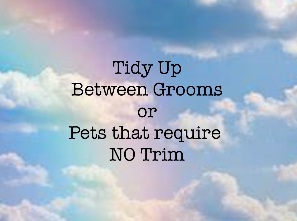 Tidy Up