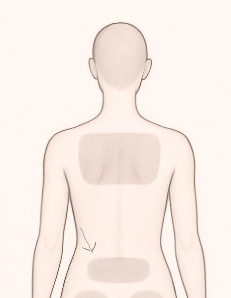 Lower Back