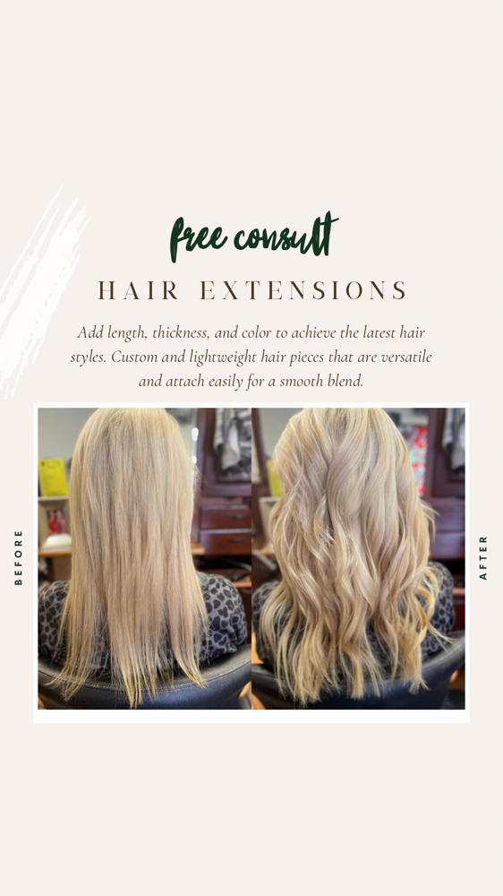 Beaded Weft Hair Extension Consult